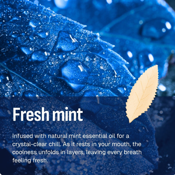 RELX AirPouch | Nicotine Pouch
