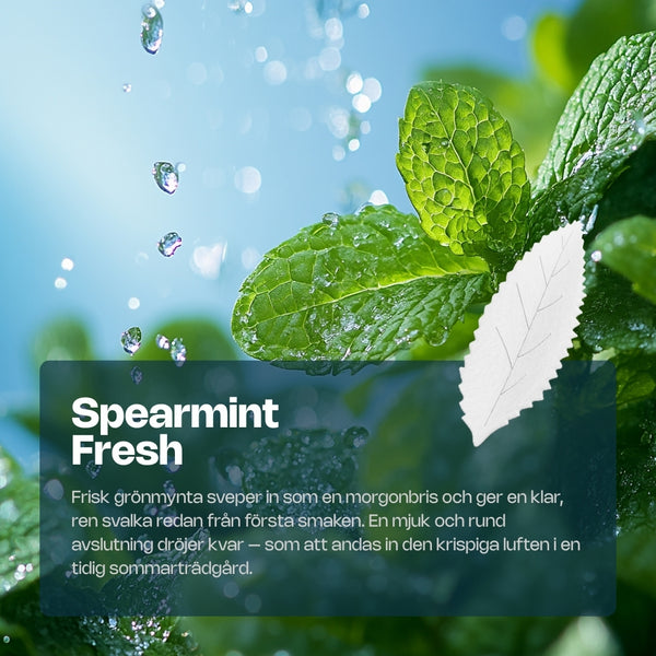 Experience RELX Global Nicotine Pouch RELX Nicotine AirPouch Spearmint Fresh Pure Coolness 14mg/piece Nicotine  < 1mm Thin 🌿
